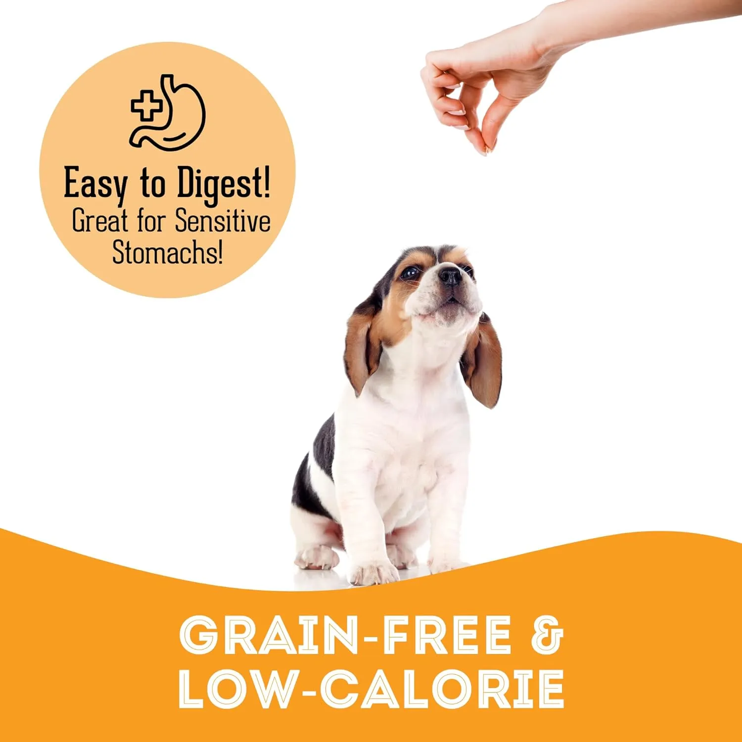 Soft & Chewy Cheese & Pork Treats for Dogs & Cats (6.17 oz, Pack of 1) - Pork Dog Treats & Cat Treats - Natural Dog Treats, Grain Free