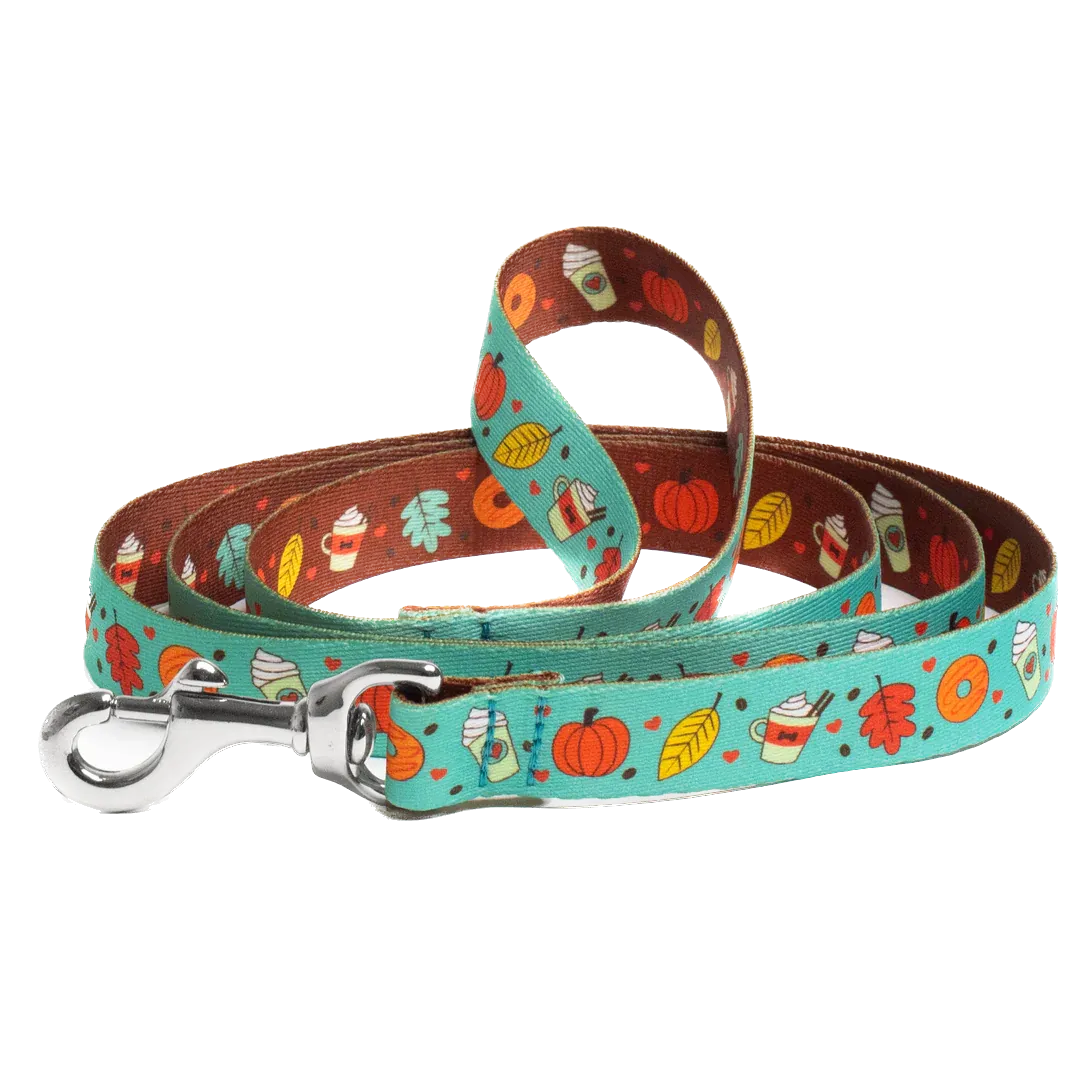 Sport Leash | Pumpkin Spice Mint