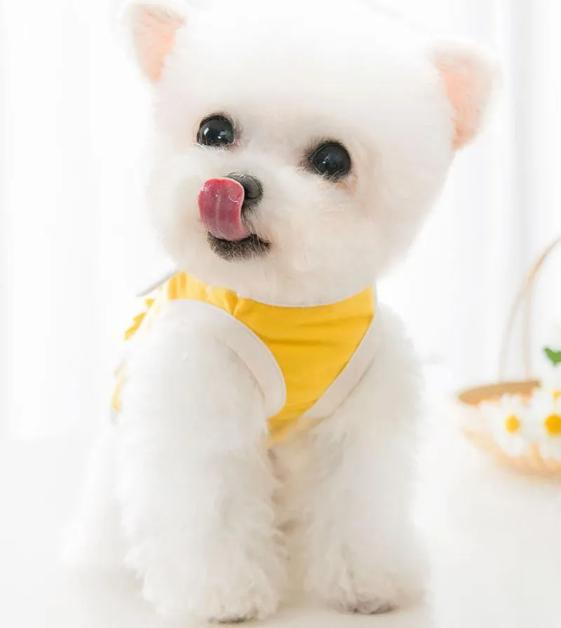 Summer cool pet clothes short small sling dog clothes