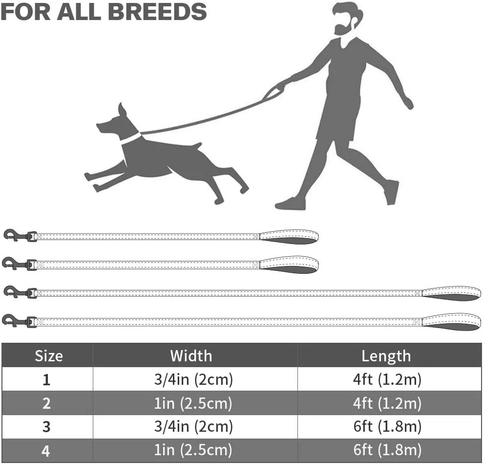 Taglory Dog Leash for Medium Large Dogs, Double-Sided Reflective Leash with Soft Neoprene Padded Handle, 1 inch by 4 ft, Fit Medium Large Breeds 20-150 lbs, Green