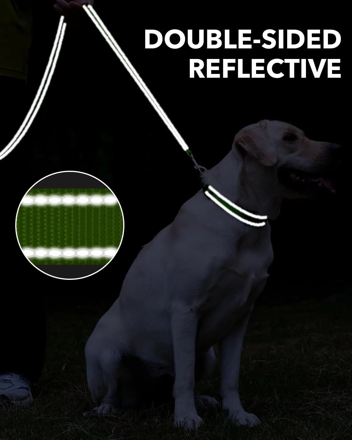 Taglory Dog Leash for Medium Large Dogs, Double-Sided Reflective Leash with Soft Neoprene Padded Handle, 1 inch by 4 ft, Fit Medium Large Breeds 20-150 lbs, Green