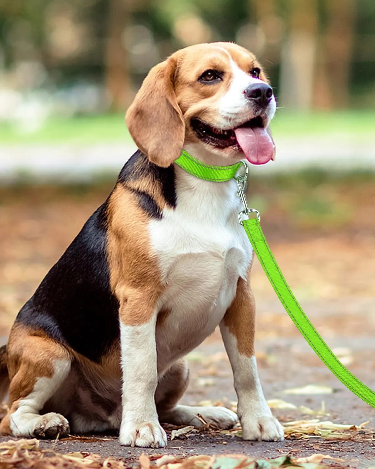 Taglory Dog Leash for Medium Large Dogs, Double-Sided Reflective Leash with Soft Neoprene Padded Handle, 1 inch by 4 ft, Fit Medium Large Breeds 20-150 lbs, Green