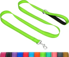 Taglory Dog Leash for Medium Large Dogs, Double-Sided Reflective Leash with Soft Neoprene Padded Handle, 1 inch by 4 ft, Fit Medium Large Breeds 20-150 lbs, Green