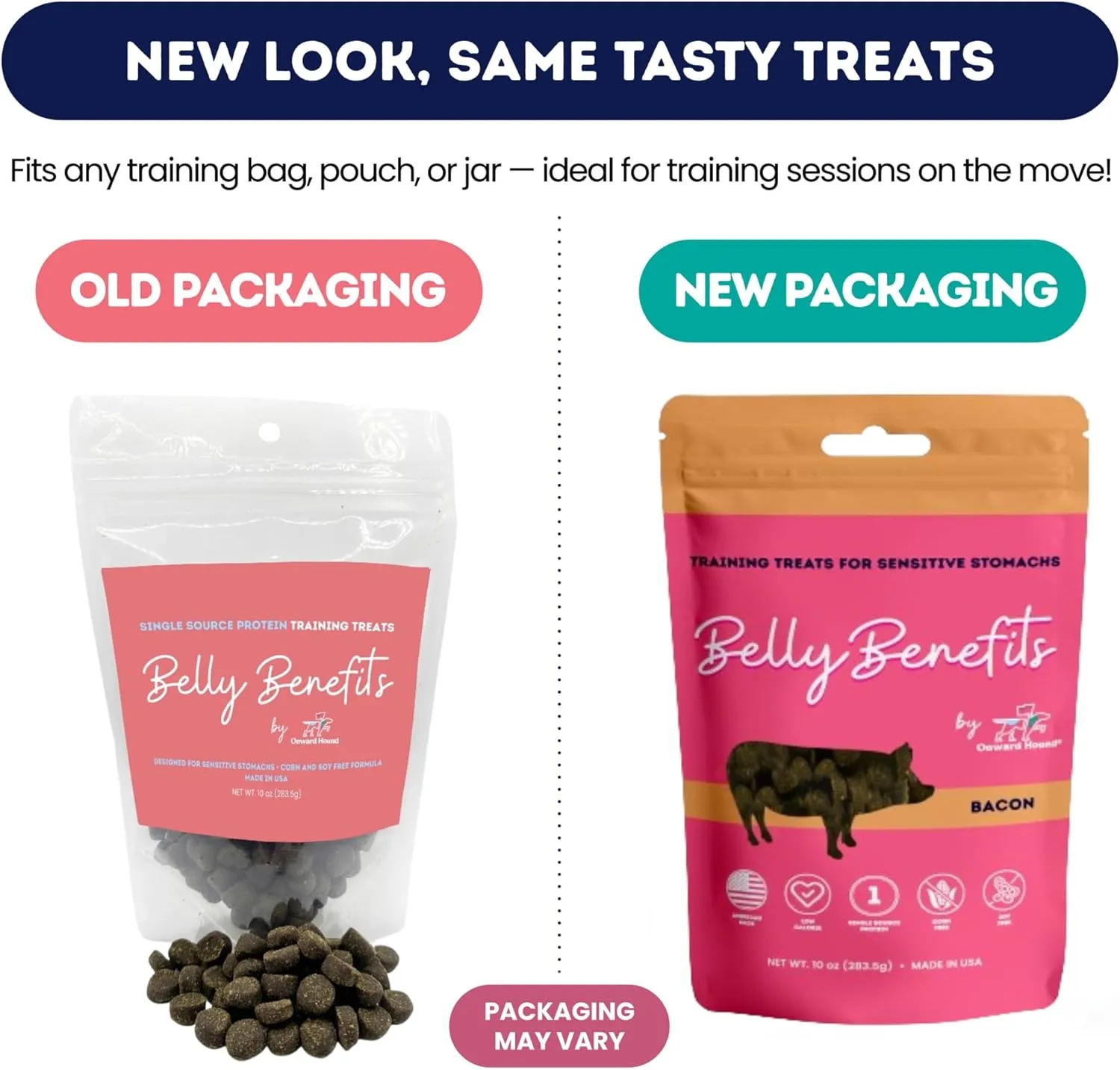 Training Treats for Dogs - Soft Salmon - Low Calorie Dog Training Treats for Sensitive Stomachs with Single Source Premium Protein, Corn Free, & Soy Free Formula - 10 oz