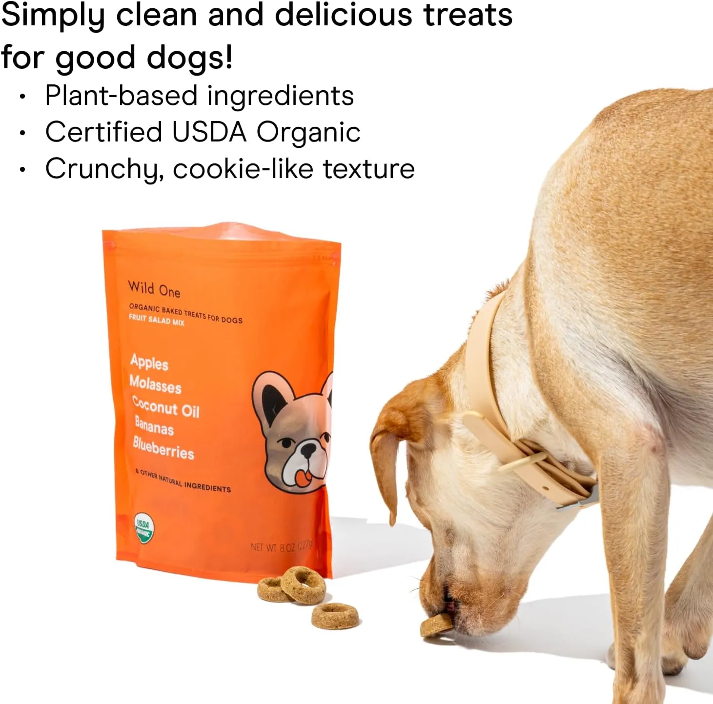 Wild One Organic Natural Crunchy Baked Dog Treats Made in The USA Variety Pack PB&J, Fruit Salad, Pumpkin 8 Ounce with 3 Bags