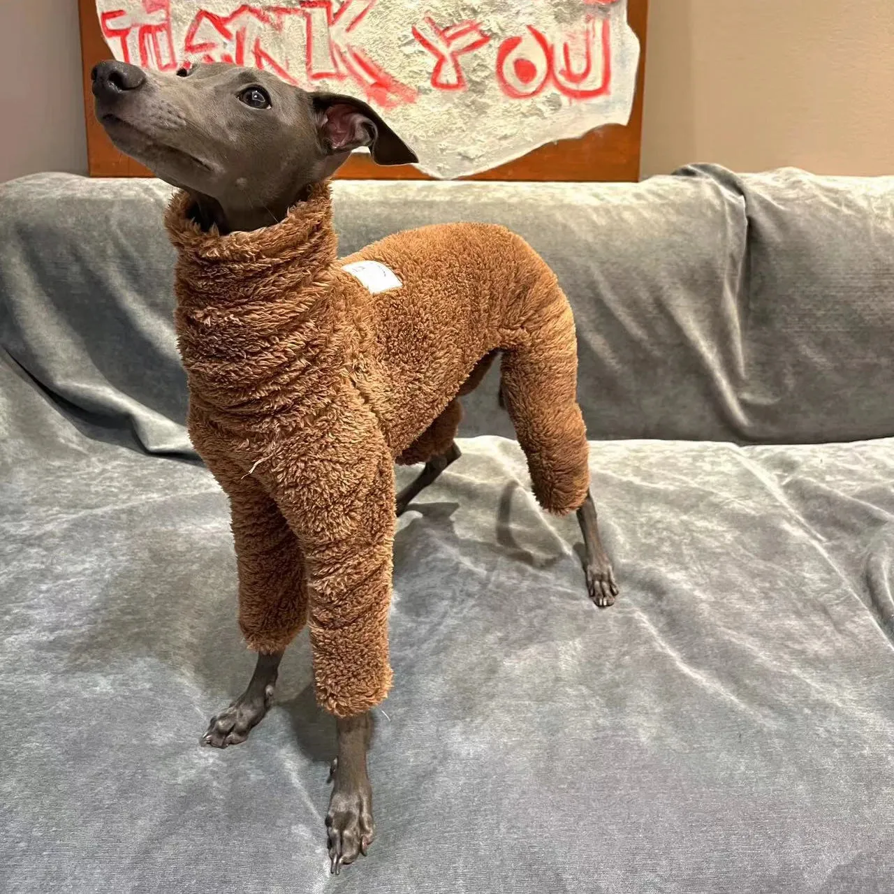 Winter Dog Clothes Onesies For Dogs Soft Puppy Clothes High Neck Warm Italian Greyhound Clothes Whippet/Mexican Hairless/Maltese