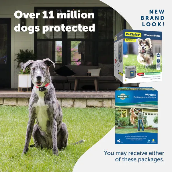 Wireless Pet Containment System